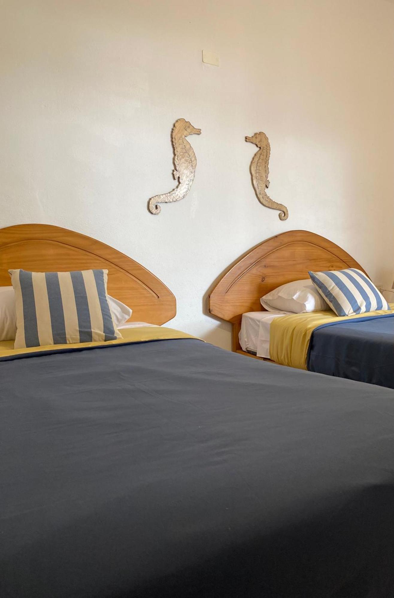 Ravenala Paracas Hostel Kültér fotó