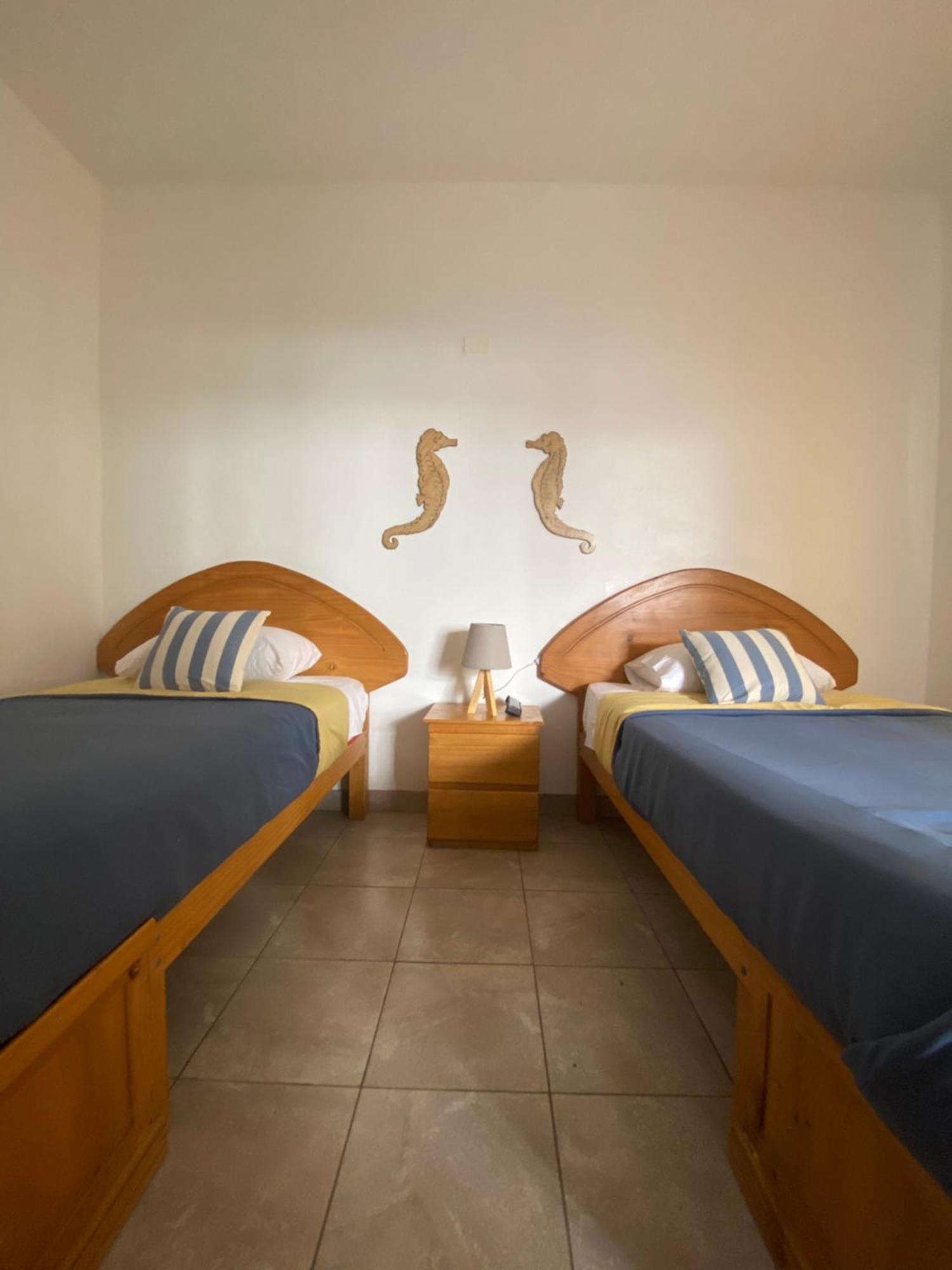 Ravenala Paracas Hostel Kültér fotó